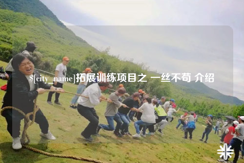 崇左拓展训练项目之 一丝不苟 介绍